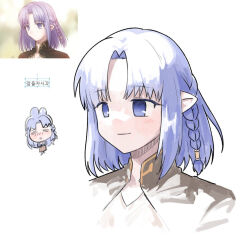  1girl braid chibi chibi_inset ddong_pong fate/stay_night fate_(series) highres medea_(caster)_(fate) medea_(fate) medium_hair parted_bangs pointy_ears purple_hair reference_inset simple_background smile violet_eyes white_background 