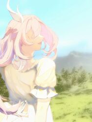  1girl blue_sky chinese_commentary commentary_request dress elysia_(honkai_impact) grass hair_ornament highres honkai_(series) honkai_impact_3rd long_hair mountainous_horizon outdoors pink_hair sky smile solo very_long_hair white_dress yu_chen 