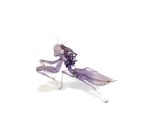  animalization insect jojo_no_kimyou_na_bouken kars_(jojo) long_hair no_humans praying_mantis purple_hair solo tenso 