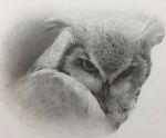  bird chons-48 face highres monochrome no_humans original owl sketch solo traditional_media 