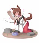  1girl all_fours animal_ears blush bone bowl breasts brooch brown_hair collar dress fang imaizumi_kagerou jewelry leash long_hair long_sleeves red_eyes rinmei solo tail touhou wolf_ears wolf_tail 