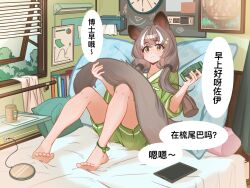 1girl anklet arknights barefoot blush brown_hair chinese_clothes comb commentary_request cup green_shirt green_shorts highres holding holding_comb holding_own_tail honeyberry_(arknights) jewelry knees_up long_hair long_tail mu_lin_di multicolored_hair on_bed open_window pillow possum_ears possum_girl possum_tail shirt shorts smile streaked_hair tablet_pc tail twintails white_hair window window_blinds yellow_eyes 