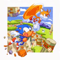  2boys blue_fur furry furry_male gloves grass highres multicolored_shoes multiple_boys nuri_durr open_mouth red_shoes shoes sonic_(series) sonic_the_hedgehog sonic_the_hedgehog_(classic) tails_(sonic) two-tone_shoes white_gloves white_shoes yellow_fur 