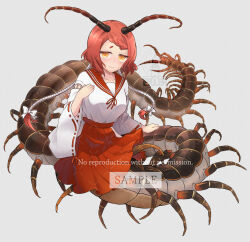  1girl antennae arthropod_girl centipede_girl chinese_commentary commentary_request eyulen full_body grey_background hakama hakama_skirt highres japanese_clothes looking_at_viewer monster_girl nontraditional_miko original red_hair red_skirt short_hair simple_background skirt solo taur yellow_eyes 