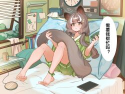  1girl anklet arknights barefoot blush brown_hair chinese_text comb commentary_request cup green_shirt green_shorts highres holding holding_comb holding_own_tail honeyberry_(arknights) jewelry knees_up long_hair long_tail mu_lin_di multicolored_hair on_bed open_window parted_lips pillow possum_ears possum_girl possum_tail shirt shorts streaked_hair tablet_pc tail twintails white_hair window window_blinds yellow_eyes 