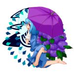  1girl :p barefoot blue_hair commentary_request flower folded_leg hydrangea leaf looking_back nama_gomi_(artist) puffy_short_sleeves puffy_sleeves red_eyes short_hair short_sleeves simple_background skirt smile solo tatara_kogasa tongue tongue_out touhou umbrella vest white_background 