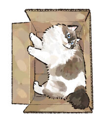  animal animal_focus blue_eyes box cardboard_box cat commentary_request gentlecat highres in_box in_container korean_commentary no_humans original simple_background solo white_background 