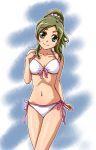  1girl bikini green_eyes green_hair highres long_hair minamino_kanade ponytail precure stick308 suite_precure swimsuit 