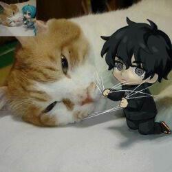  @_@ black_eyes black_hair cat chibi chibi_only choi_jongsu full_body fum0_m0 fumo_(homosukii) garbage_time holding_own_leg lower_eyelashes_only meme messy_hair photo_(medium) reference_inset 