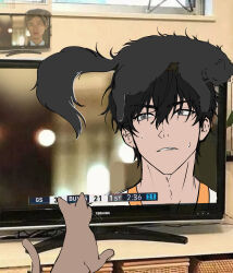  absurdres animal_on_head black_eyes black_hair cat cat_on_head choi_jongsu close-up fum0_m0 fumo_(homosukii) garbage_time highres lower_eyelashes_only messy_hair on_head photo_(medium) portrait reference_inset sweatdrop television 
