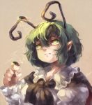  1girl antennae cape firefly green_eyes green_hair inari_(flandoll-scarlet-devil) pointy_ears short_hair solo touhou wriggle_nightbug 