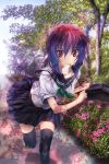  1girl bangs black_legwear briefcase bush flower food_in_mouth mouth_hold original outdoors park pavement pleated_skirt purple_hair red_eyes running school_uniform serafuku shadow shoes short_sleeves skirt solo thigh-highs toast toast_in_mouth tree zen99 zettai_ryouiki 