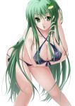  1girl breasts cleavage frog green_eyes green_hair hair_ornament kochiya_sanae long_hair snake tenneko_yuuri touhou 