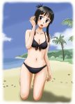  1girl akiyama_mio beach bikini black_bikini black_eyes black_hair k-on! kamosikayasyamoji long_hair swimsuit 