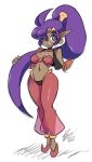  1girl arabian_clothes bigdead93 blue_eyes bracer breasts choker dark_skin earrings forehead_jewel full_body hands_in_hair harem_pants highres hoop_earrings jewelry long_hair midriff navel pants pointy_ears pointy_shoes ponytail purple_hair see-through shantae shantae:_half-genie_hero shantae_(character) smile solo tiara very_long_hair 