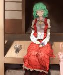  1girl closed_eyes flower glass green_hair highres kazami_yuuka long_skirt shadow short_hair sitting skirt skirt_set smile solo sunlight touhou umbrella 