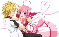  1boy 1girl ahoge animal_ears blonde_hair blue_eyes dog_days dog_ears dog_tail dress gloves highres millhiore_f_biscotti pink_hair shinku_izumi shira-nyoro short_hair tail violet_eyes 