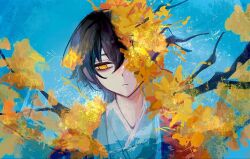  1boy black_hair blue_background branch closed_mouth commentary_request e.g.o_(project_moon) expressionless flower flower_over_eye hanbok highres japanese_clothes korean_clothes korean_commentary leaf limbus_company looking_to_the_side male_focus neh_neng_neh plant_wings portrait project_moon short_hair solo spicebush_(e.g.o) technology_liberation_alliance_(identity)_(project_moon) upper_body white_hanbok wings yellow_eyes yellow_flower yellow_leaves yi_sang_(project_moon) 