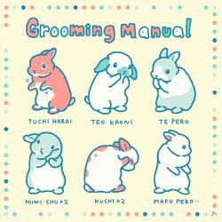  :< animal_focus black_eyes closed_eyes commentary_request english_text flat_color grooming licking_paw no_humans original rabbit romaji_text simple_background standing taiga_ichigo translation_request 