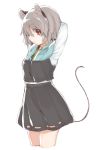  1girl akagashi_hagane animal_ears arms_up capelet grey_hair long_sleeves looking_at_viewer mouse_ears mouse_tail nazrin profile red_eyes shirt short_hair simple_background skirt skirt_set solo tail touhou vest white_background 