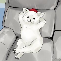  :3 animal_focus animalization armchair chair commentary_request full_body hat inubashiri_momiji inubashiri_momiji_(wolf) looking_at_viewer no_humans red_hat relaxing tasuku_(tusktouhou4) tokin_hat touhou wolf 