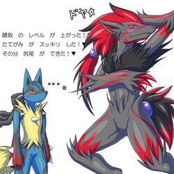  highres lucario mega_lucario mega_pokemon no_humans pokemon pokemon_(creature) pokemon_(game) pokemon_xy zoroark 