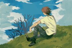  1boy 2786867956wuyu back blue_sky brown_hair clouds commentary_request from_behind full_body grasslands highres inui_takumi jewelry kamen_rider kamen_rider_555 male_focus necklace pants shirt shoes sitting sky solo tree white_shirt 