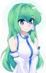  1girl bare_shoulders blue_eyes breasts detached_sleeves drinking_(artist) frog_hair_ornament green_hair hair_intakes hair_ornament hair_tubes highres kochiya_sanae long_hair looking_at_viewer smile snake_hair_ornament solo touhou v_arms vest 