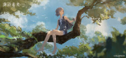  1girl ascot bare_shoulders barefoot blue_one-piece_swimsuit blue_sky copyright_name copyright_notice dappled_sunlight day full_body grey_eyes grey_hair hair_bun highres jetpack logo looking_up official_alternate_costume official_art official_wallpaper on_tree one-piece_swimsuit outdoors reverse:1999 short_hair simple_bird single_side_bun sitting sitting_on_branch sky solo sunlight swimsuit tree vertin_(reverse:1999) white_ascot wrist_bow 