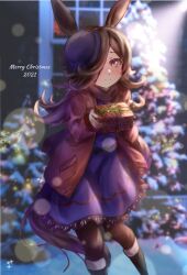  1girl animal_ears black_boots black_pantyhose blue_dress blue_flower blue_hat blue_rose boots box brown_hair christmas_tree coat dress flipped_hair flower gift gift_box hair_over_one_eye hat hat_flower highres holding holding_gift horse_ears horse_girl horse_tail long_hair long_sleeves looking_at_viewer pantyhose red_coat red_scarf rice_shower_(rosy_dreams)_(umamusume) rice_shower_(umamusume) rose scarf solo tail tanuki_maisnam tilted_headwear umamusume violet_eyes 