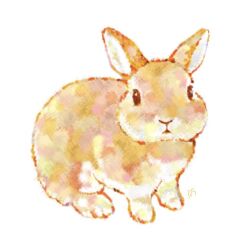  animal animal_focus black_eyes closed_mouth commentary_request facing_viewer no_humans original rabbit simple_background solo taiga_ichigo white_background 