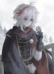  1boy against_railing antenna_hair bird bird_on_hand black_cloak black_gloves cloak commentary english_commentary gloves hair_between_eyes hand_up highres kaedehara_kazuha kaedehara_kazuha_(nord_express) long_hair long_sleeves looking_at_animal male_focus multicolored_hair official_alternate_costume outdoors parted_lips railing red_eyes solo streaked_hair upper_body white_hair wooden_railing yoruli_e 