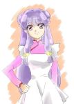 1girl apron chinese_clothes double_bun hand_on_hip long_hair looking_at_viewer purple_hair ranma_1/2 shampoo_(ranma_1/2) solo tktn violet_eyes 