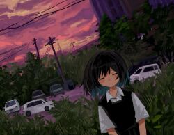  1girl black_hair black_vest blue_hair bonsaii00 car closed_eyes closed_mouth clouds collared_shirt colored_inner_hair dutch_angle evening facing_viewer grass highres medium_hair motor_vehicle multicolored_hair original outdoors power_lines school_uniform shirt short_hair short_sleeves skirt sky slice_of_life solo tree upper_body utility_pole vest white_shirt 