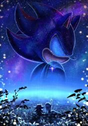 1boy 1girl amyroser artist_logo blue_theme commentary english_commentary field fireflies flower flower_field furry furry_male highres logo maria_robotnik night pointing pointing_up shadow_the_hedgehog shooting_star sitting sonic_(series) star_(sky) stargazing tears white_flower 