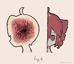  1girl ahoge artist_name branchpuzzle closed_mouth commentary_request cropped_head drill_hair expressionless fig food fruit jaggy_lines kasane_teto red_eyes red_hair simple_background solo split_head twin_drills utau 