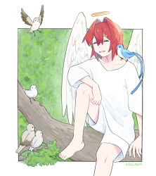 1girl ^_^ alternate_costume ange_katrina angel angel_wings animal_on_shoulder arm_rest arm_support barefoot bird bird_on_shoulder blue_bird border closed_eyes commentary_request dated feathered_wings foot_out_of_frame grey_bird grin hair_between_eyes hair_intakes hair_ornament hairclip halo knee_up kuujou_haru long_bangs medium_hair nijisanji outside_border red_hair shirt shorts sitting sitting_on_branch smile solo t-shirt three-quarter_sleeves traditional_halo tree virtual_youtuber white_bird white_border white_shirt white_shorts white_wings wings yellow_halo 