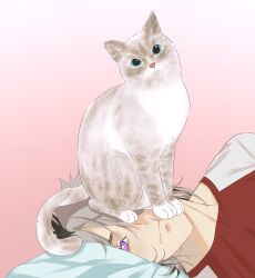  1boy animal_on_face cat cat_on_face crimzon_ruze grey_hair head_on_pillow highres holostars holostars_english kopi_art1 lying male_focus on_side pillow pollux_(crimzon_ruze) violet_eyes virtual_youtuber wavy_mouth 