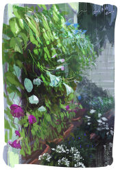  baby's-breath blue_flower border commentary_request dated flower flower_focus garden grass morning_glory nature no_humans original planter purple_flower rain real_world_location stone_wall water_drop white_border white_flower yuuki_youichi 