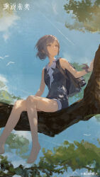  1girl absurdres ascot bare_shoulders barefoot blue_one-piece_swimsuit blue_sky copyright_name copyright_notice dappled_sunlight day foot_out_of_frame grey_eyes grey_hair hair_bun highres jetpack logo looking_up official_alternate_costume official_art official_wallpaper on_tree one-piece_swimsuit outdoors reverse:1999 short_hair simple_bird single_side_bun sitting sitting_on_branch sky solo sunlight swimsuit tree vertin_(reverse:1999) white_ascot wrist_bow 