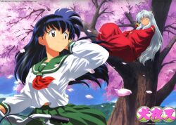  1boy 1girl animal_ears blue_sky cherry_blossoms copyright_name dog_ears falling_petals floating_hair green_sailor_collar green_skirt higurashi_kagome holding holding_handlebar holding_sword holding_weapon in_tree inuyasha inuyasha_(character) japanese_clothes jewelry katana looking_at_another magatama magatama_necklace neckerchief necklace official_art petals pink_petals red_neckerchief sailor_collar school_uniform sitting sitting_in_tree skirt sky smile spring_(season) sunrise_(company) sword tree weapon wind 