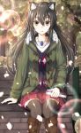  1girl animal_ears black_hair black_legwear brown_eyes casual coat fang gen_(gen_7254) highres jewelry long_hair looking_at_viewer necklace original park_bench parted_lips petals pleated_skirt sitting skirt solo thigh-highs wind winter_clothes winter_coat wolf_ears zettai_ryouiki 