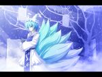  1girl akashio_(loli_ace) alternate_color blue_eyes blue_hair cat hat multiple_tails tail touhou yakumo_ran 