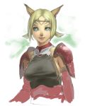  armor blonde_hair blue_eyes breasts bust commentary face facial_mark final_fantasy final_fantasy_xi mithra quot short_hair sideboob smile translation_request twintails 