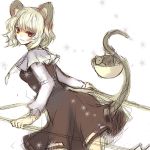 basket hina_(pico) hina_(pixiv) lowres mouse mouse_ears mouse_tail nazrin red_eyes short_hair silver_hair solo tail touhou 
