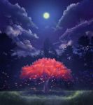  geshi grass highres leaf moon night scenery sky tree 