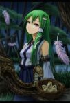  buckle detached_sleeves egg face feathers forest frog green_hair hair_ornament kochiya_sanae kurione_(pixiv) kurione_(zassou) letterboxed long_hair nature red_eyes snake standing torii touhou water 