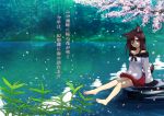  1girl absurdres animal_ears anna_sakura bare_shoulders barefoot breasts brooch brown_hair collarbone dress fang finger_to_mouth forest highres imaizumi_kagerou jewelry long_hair looking_at_viewer nature open_mouth red_eyes sitting sitting_on_rock solo tail touhou translation_request water wolf_ears wolf_tail 
