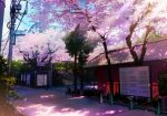  building cherry_blossoms dappled_sunlight mogumo no_humans original petals scenery stairs tagme telephone_pole traffic_cone tree 