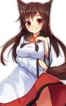  1girl animal_ears breasts brooch brown_eyes brown_hair fang highres imaizumi_kagerou jewelry large_breasts long_sleeves shirt shone skirt smile solo tail touhou werewolf wide_sleeves wolf_ears wolf_tail 